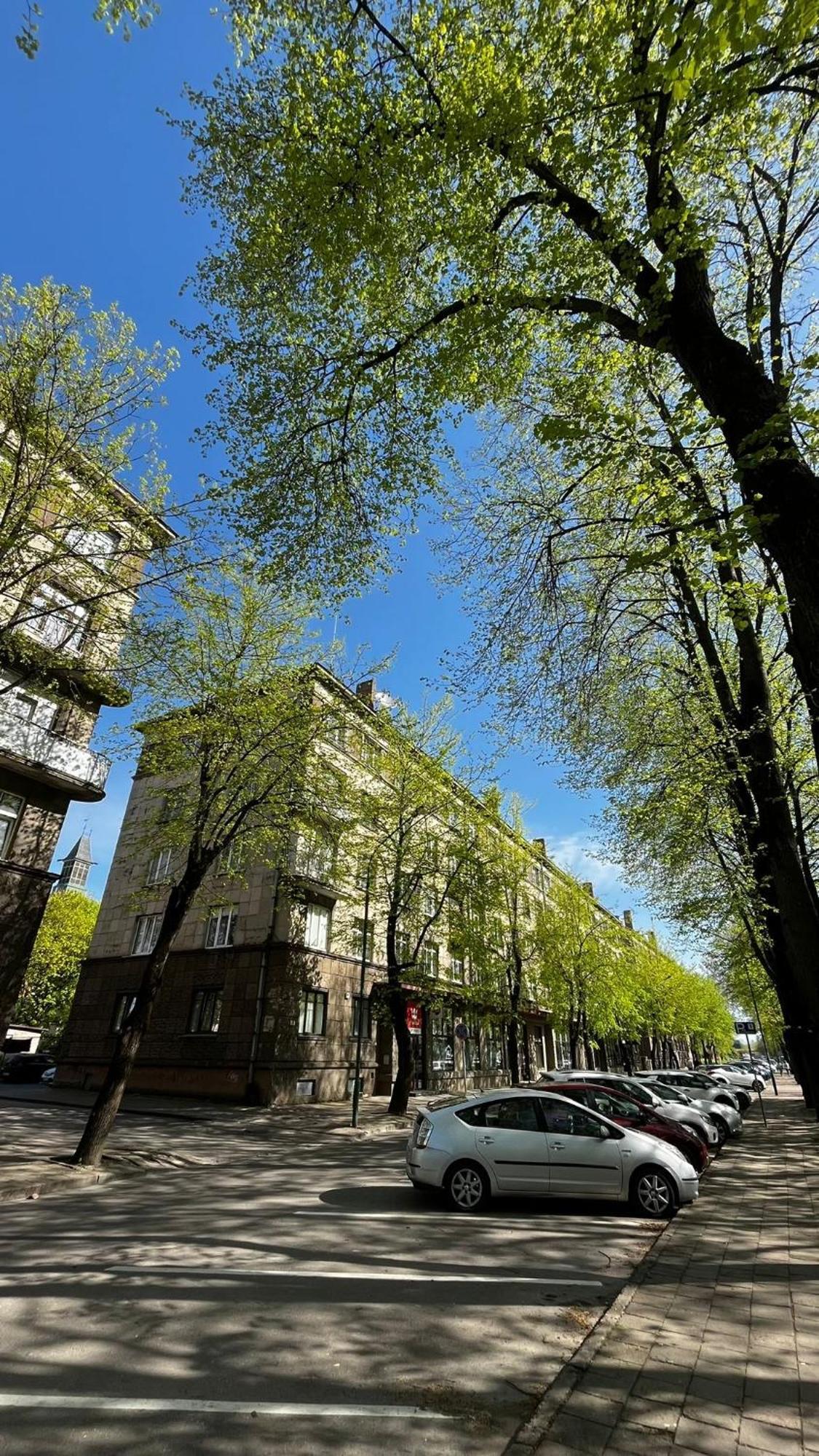Heritage House Dane Apartment 克莱佩达 外观 照片